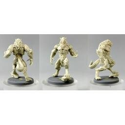 Sword & Sorcery: Les Âmes Immortelles Figurines