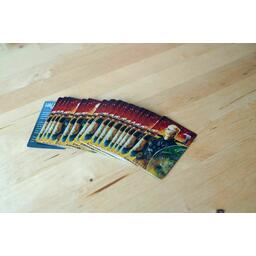 Pillards de la Mer du Nord: Version Solo Cartes