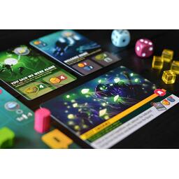 The Artemis Project Zoom