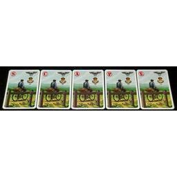SCAPE Cartes
