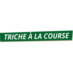 Detecteam: Family - Triche à la Course Logo