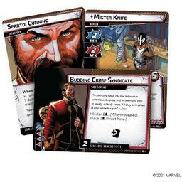 Marvel Champions: Le Jeu de Cartes - Star Lord Cartes