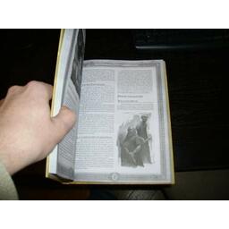 Dawnforge: Le Berceau des Légendes Eclate