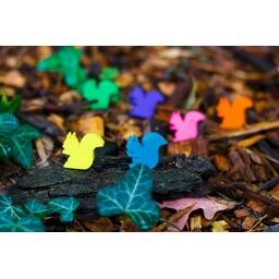 C'est Toute la Question ! Zoom