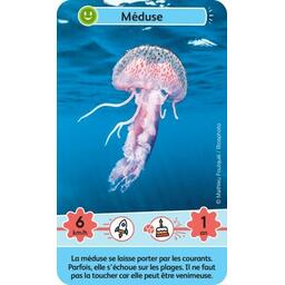 Défis Nature: Junior - Merveilles de la Mer Carte