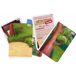 Detecteam: Family - Un Oeuf de Trop Cartes