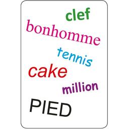 Tam Tam: Safari - Les Mots Irréguliers Carte