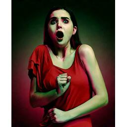 Nightmare Horror Adventures: Welcome to Crafton Mansion Artwork