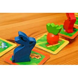 Course de Lapins Zoom