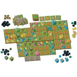 Jour de Marché Eclate