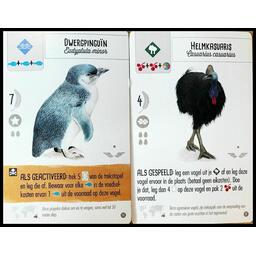 Wingspan: Extension Océanie Cartes