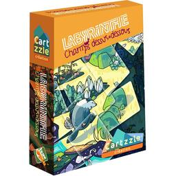 Cartzzle: Labyrinthe - Champs Dessus Dessous Cover 3d