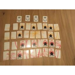 Escape Box: Koh Lanta - L'Île des Oubliés Cartes