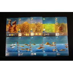 Voyageurs du Tigre du Sud Cartes