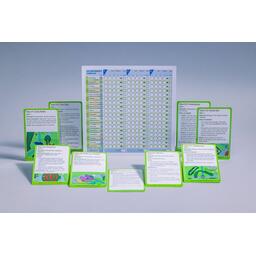 Rolling Realms Eclate