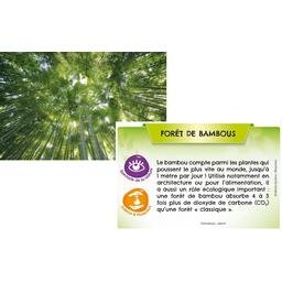 Bioviva ! Planète: Jungles et Forêts Eclate