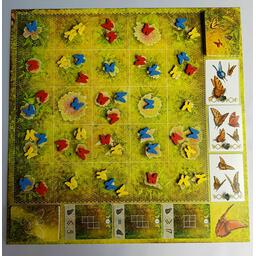 Dust in the Wings Plateau