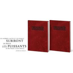 Degenesis Rebirth: Édition Collector Eclate