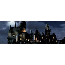 Harry Potter: Hogwarts Battle Top