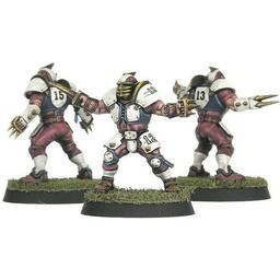 Blood Bowl: The Game of Fantasy Football - Middenheim Maulers Figurines