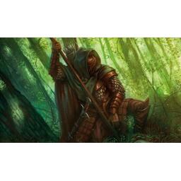 Le Seigneur des Anneaux: Le Jeu de Cartes - Le Royaume Perdu Artwork