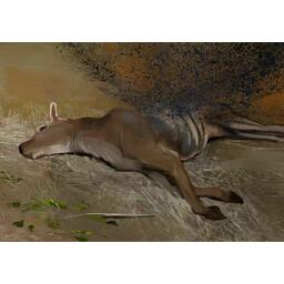 Outlive: Underwater Artwork