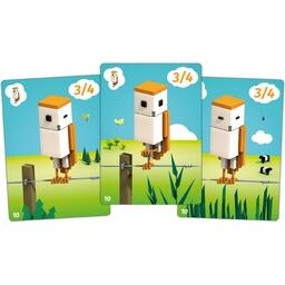 CuBirds Cartes