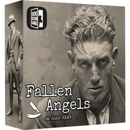 Fallen Angels Cover 3d