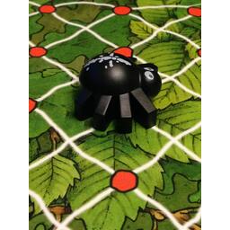 Gare à la Toile Zoom