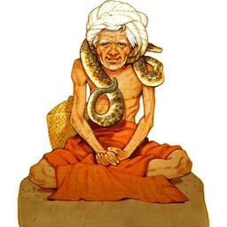 Jaipur 2019 Personnage