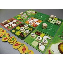 La Cité des Fourmis Eclate