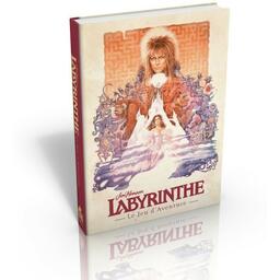 Labyrinthe: Le Jeu d'Aventure Cover 3d