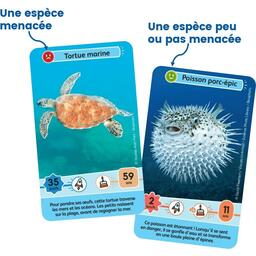 Défis Nature: Junior - Merveilles de la Mer Cartes