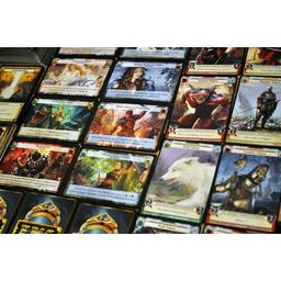 Epic: Le Jeu de Cartes Zoom