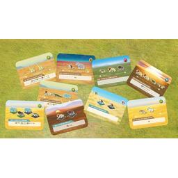 Wild: Serengeti Eclate