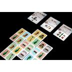 Circle The Wagons Eclate