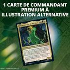 Magic: The Gathering - Commander - Colère de Zendikar Story