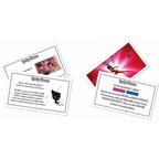 Monopoly: Junior - Miraculous Cartes