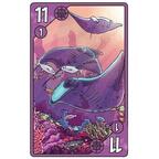 Sea Change Carte