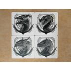Dragons Cartes