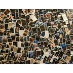 Le Dilemme du Roi Cartes