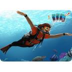 Mini DiverCity Carte