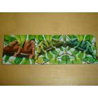 Charly im Zoo Tuiles