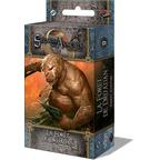 Le Seigneur des Anneaux: Le Jeu de Cartes - La Forêt de Drúadan Cover 3d