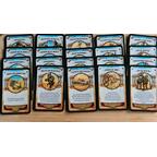 Mémoire 44: The Battle Map 2 - Volume 2 - Through Jungle and Desert Cartes