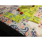 Carcassonne: Chasseurs et Cueilleurs Eclate