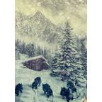 Shaan: Renaissance - Le Feu sous la Glace - Tome 2 Artwork