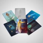 Detective Club Cartes