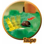 Croque-Carotte Zoom