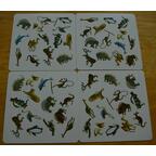 Panicozoo 2006 Cartes